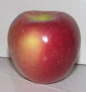 APPLE PACIFIC ROSE (MM106)